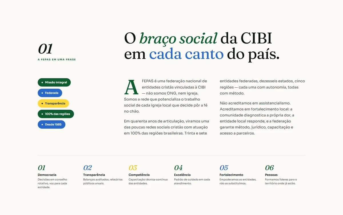 Nova tipografia editorial traduz a história da FEPAS em linguagem clara.